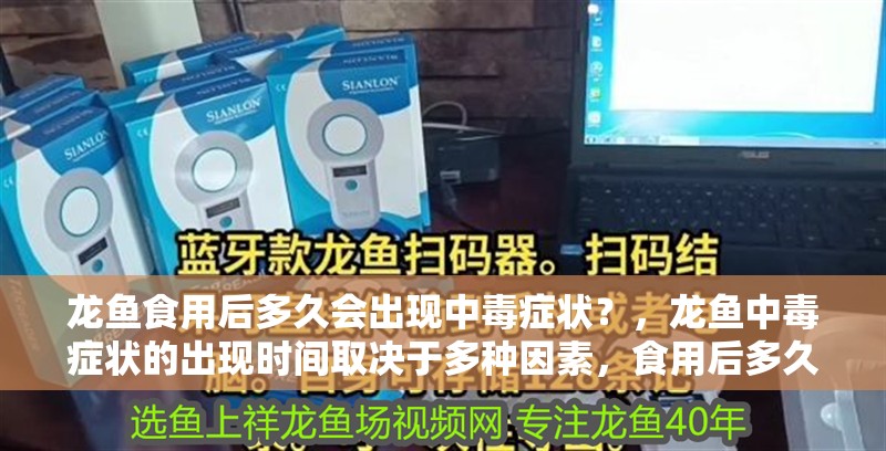 龍魚食用后多久會出現中毒癥狀？，龍魚中毒癥狀的出現時間取決于多種因素，食用后多久會中毒 龍魚食用后多久會出現中毒癥狀？，龍魚中毒癥狀的出現時間取決于多種因素，食用后多久會中毒 龍魚百科