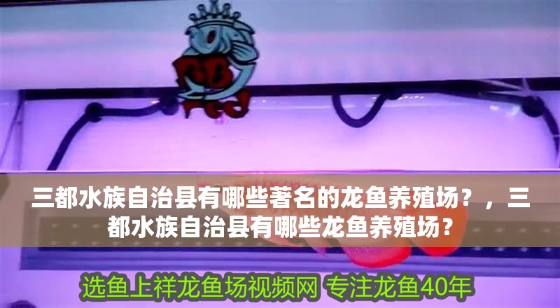 <strong><mark>三都</mark></strong>水族自治縣有哪些著名的龍魚養(yǎng)殖場？，<strong><mark>三都</mark></strong>水族自治縣有哪些龍魚養(yǎng)殖場？