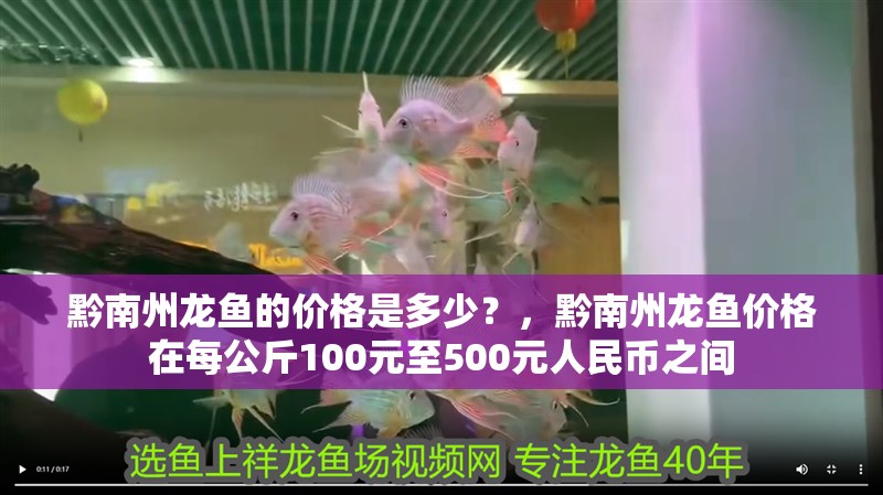 黔南州龍魚的價格是多少？，黔南州龍魚價格在每公斤100元至500元人民幣之間
