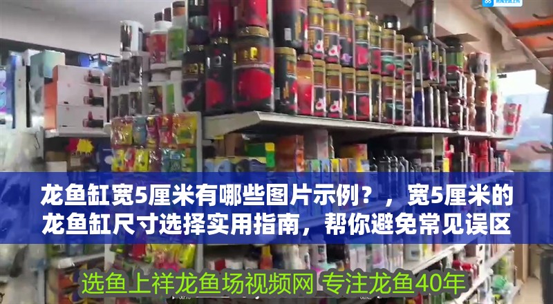 龍魚缸寬5厘米有哪些圖片示例？，寬5厘米的龍魚缸尺寸選擇實用指南，幫你避免常見誤區 龍魚缸寬5厘米有哪些圖片示例？，寬5厘米的龍魚缸尺寸選擇實用指南，幫你避免常見誤區 龍魚百科