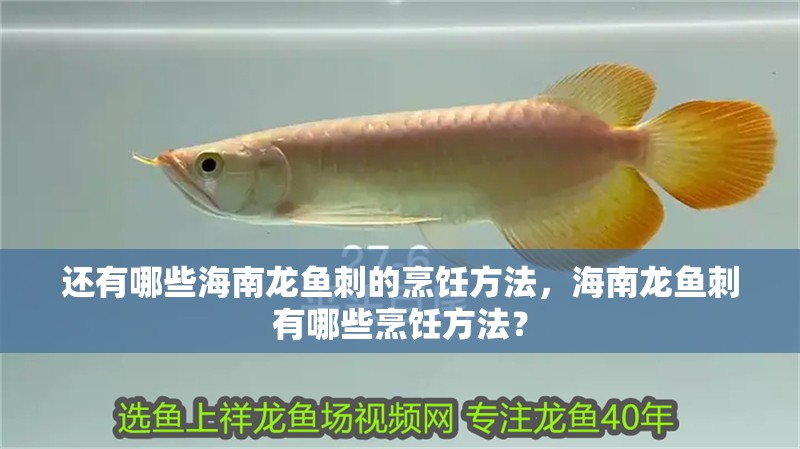 還有哪些海南龍魚刺的烹飪方法，海南龍魚刺有哪些烹飪方法？