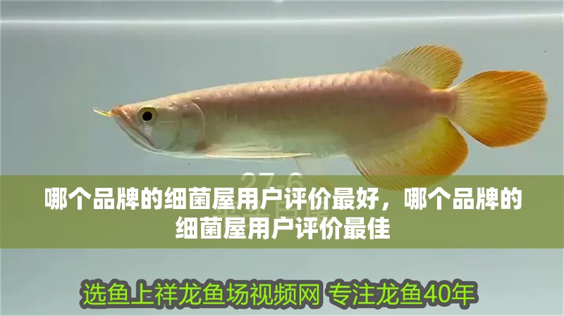 哪個品牌的細菌屋用戶評價最好，哪個品牌的細菌屋用戶評價最佳 哪個品牌的細菌屋用戶評價最好，哪個品牌的細菌屋用戶評價最佳 龍魚百科