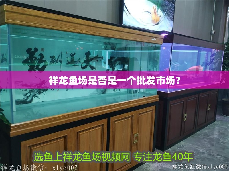 祥龍魚場是否是一個批發市場？