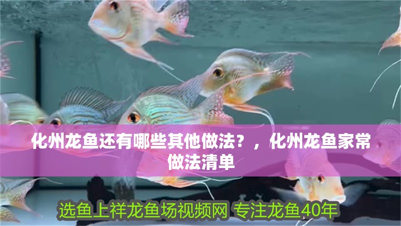 魚缸用增氧泵價格是多少:魚缸增氧機-xtrac增氧機-xtrac增氧機 化州龍魚還有哪些其他做法?,化州龍魚家常做法清單 龍魚百科 化州龍魚還有哪些其他做法?,化州龍魚家常做法清單 化州龍魚還有哪些其他做法?,化州龍魚家常做法清單 龍魚百科