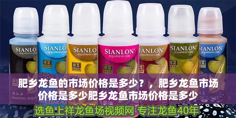 肥鄉(xiāng)龍魚的市場價(jià)格是多少？，肥鄉(xiāng)龍魚市場價(jià)格是多少肥鄉(xiāng)龍魚市場價(jià)格是多少 肥鄉(xiāng)龍魚的市場價(jià)格是多少？，肥鄉(xiāng)龍魚市場價(jià)格是多少肥鄉(xiāng)龍魚市場價(jià)格是多少 龍魚百科