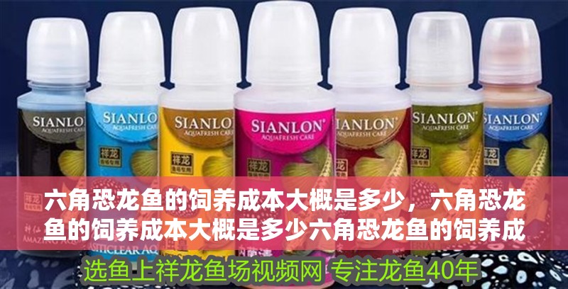 六角恐龍魚的飼養(yǎng)成本大概是多少，六角恐龍魚的飼養(yǎng)成本大概是多少六角恐龍魚的飼養(yǎng)成本