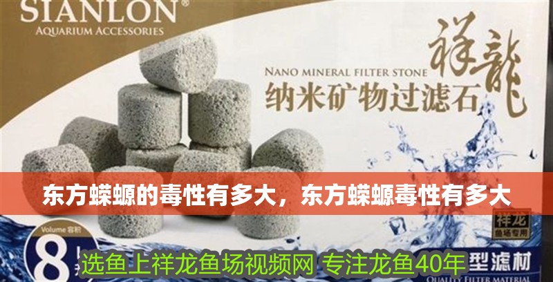 東方蠑螈的毒性有多大，東方蠑螈毒性有多大 東方蠑螈的毒性有多大，東方蠑螈毒性有多大 龍魚百科