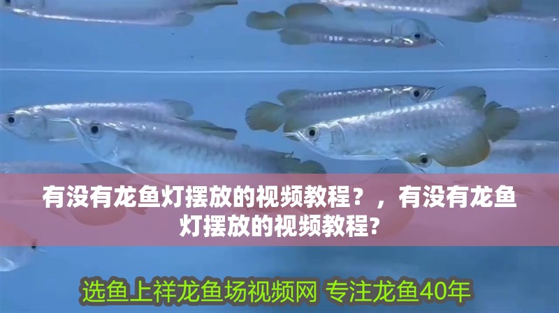 有沒有龍魚燈擺放的視頻教程？，有沒有龍魚燈擺放的視頻教程?