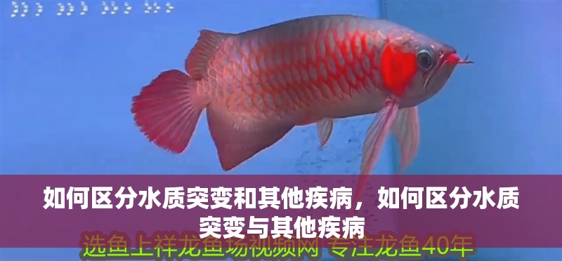 如何區分水質突變和其他疾病，如何區分水質突變與其他疾病