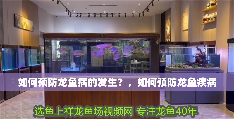 如何預防龍魚病的發生？，如何預防龍魚疾病