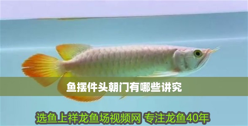 魚擺件頭朝門有哪些講究
