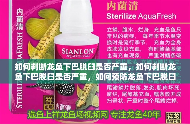 如何判斷龍魚(yú)下巴脫臼是否嚴(yán)重，如何判斷龍魚(yú)下巴脫臼是否嚴(yán)重，如何預(yù)防龍魚(yú)下巴脫臼