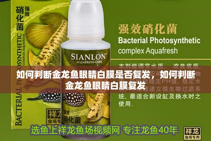 魚缸用增氧泵價格是多少:魚缸增氧機-xtrac增氧機-xtrac增氧機 如何判斷金龍魚眼睛白膜是否復發,如何判斷金龍魚眼睛白膜復發 龍魚百科 如何判斷金龍魚眼睛白膜是否復發,如何判斷金龍魚眼睛白膜復發 如何判斷金龍魚眼睛白膜是否復發,如何判斷金龍魚眼睛白膜復發 龍魚百科