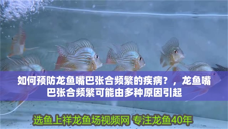 如何預(yù)防龍魚(yú)嘴巴張合頻繁的疾病？，龍魚(yú)嘴巴張合頻繁可能由多種原因引起