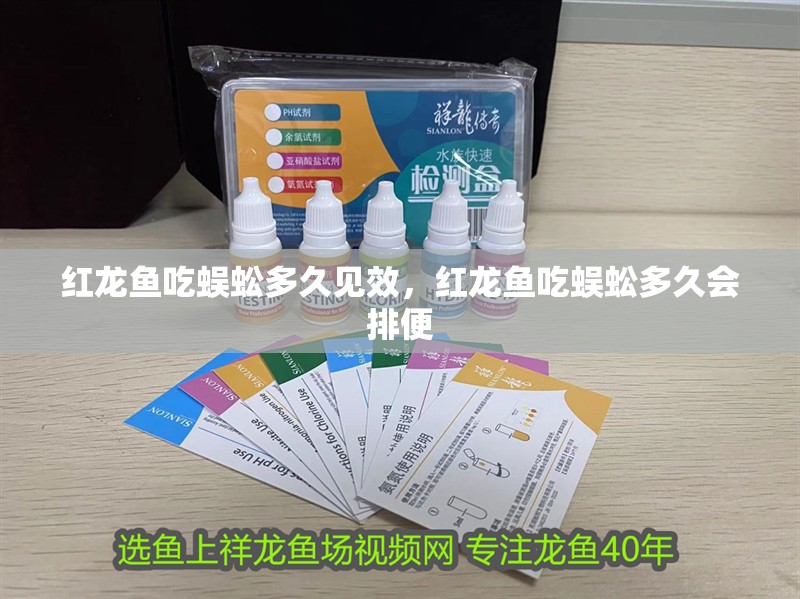 魚缸用增氧泵價格是多少:魚缸增氧機-xtrac增氧機-xtrac增氧機 紅龍魚吃蜈蚣多久見效,紅龍魚吃蜈蚣多久會排便 龍魚百科 紅龍魚吃蜈蚣多久見效,紅龍魚吃蜈蚣多久會排便 紅龍魚吃蜈蚣多久見效,紅龍魚吃蜈蚣多久會排便 龍魚百科