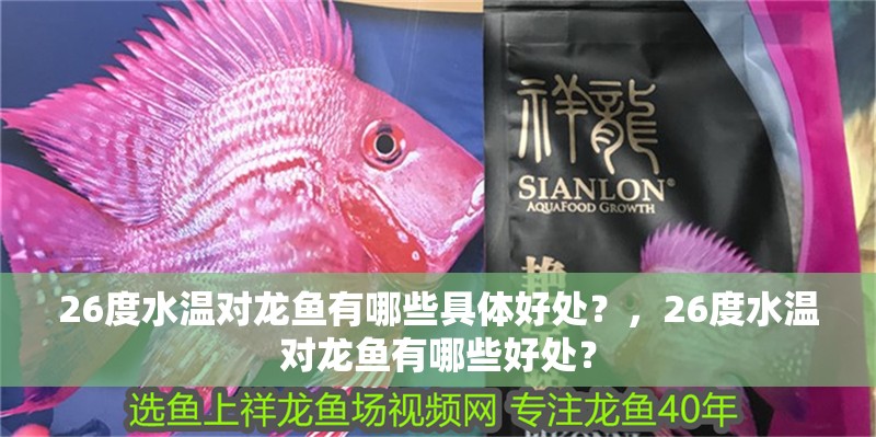 26度水溫對龍魚有哪些具體好處？，26度水溫對龍魚有哪些好處？