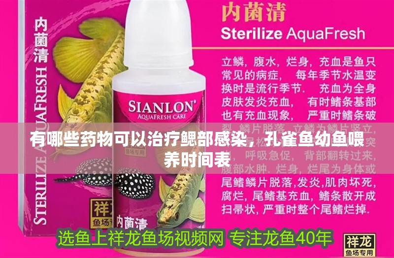 有哪些藥物可以治療鰓部感染，孔雀魚幼魚喂養(yǎng)時間表