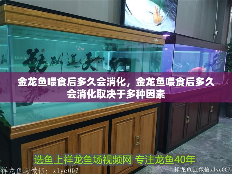 金龍魚喂食后多久會消化，金龍魚喂食后多久會消化取決于多種因素