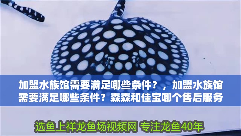 加盟水族館需要滿足哪些條件？，加盟水族館需要滿足哪些條件？森森和佳寶哪個售后服務響應更快？