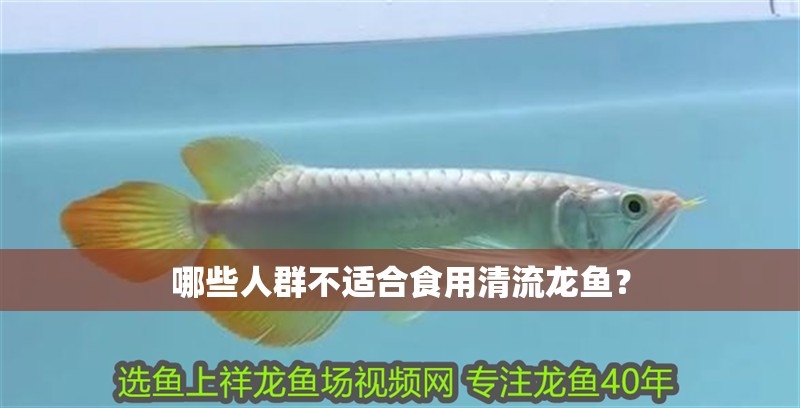 哪些人群不適合食用清流龍魚？ 哪些人群不適合食用清流龍魚？ 龍魚百科