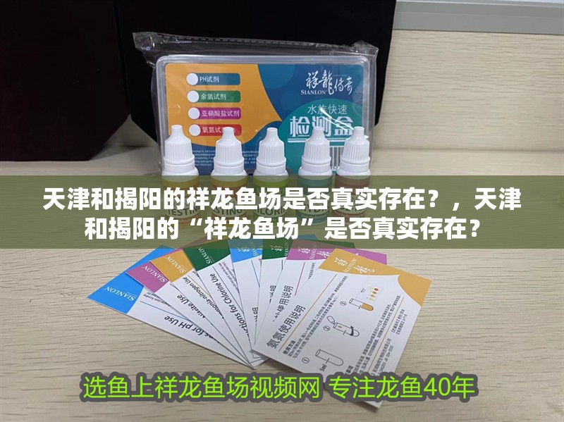 魚缸過濾器選購指南:自制魚缸過濾器魚缸上置過濾器對于養魚愛好者的必備知識 天津和揭陽的祥龍魚場是否真實存在?,天津和揭陽的“祥龍魚場”是否真實存在? 龍魚百科 天津和揭陽的祥龍魚場是否真實存在?,天津和揭陽的“祥龍魚場”是否真實存在? 天津和揭陽的祥龍魚場是否真實存在?,天津和揭陽的“祥龍魚場”是否真實存在? 龍魚百科