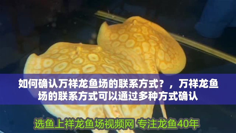 如何確認(rèn)萬祥龍魚場的聯(lián)系方式？，萬祥龍魚場的聯(lián)系方式可以通過多種方式確認(rèn)