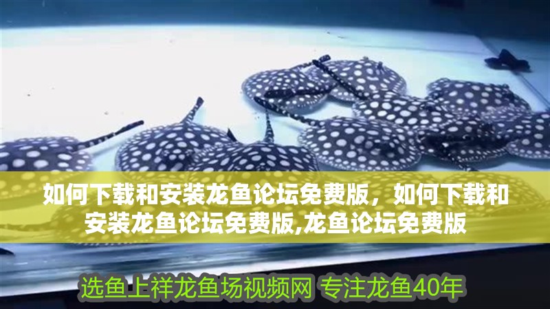 如何下載和安裝龍魚論壇免費版，如何下載和安裝龍魚論壇免費版,龍魚論壇免費版 如何下載和安裝龍魚論壇免費版，如何下載和安裝龍魚論壇免費版,龍魚論壇免費版 龍魚百科