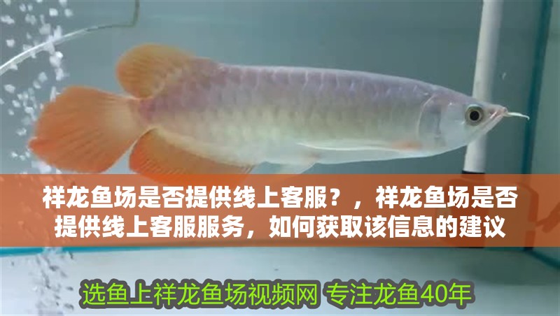 祥龍魚場是否提供線上客服？，祥龍魚場是否提供線上客服服務(wù)，如何獲取該信息的建議 祥龍魚場是否提供線上客服？，祥龍魚場是否提供線上客服服務(wù)，如何獲取該信息的建議 龍魚百科
