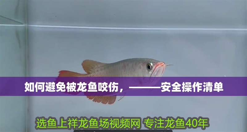 如何避免被龍魚咬傷，———安全操作清單