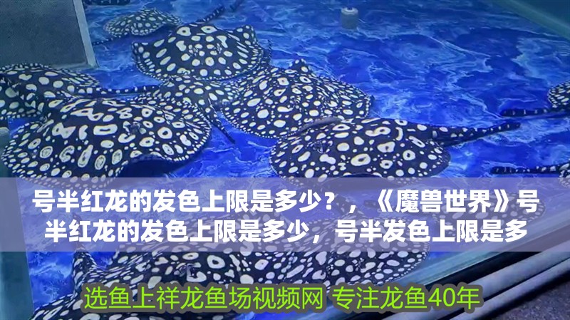 號(hào)半紅龍的發(fā)色上限是多少？，《魔獸世界》號(hào)半紅龍的發(fā)色上限是多少，號(hào)半發(fā)色上限是多少