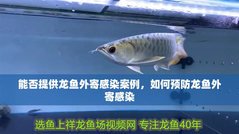 能否提供龍魚(yú)外寄感染案例，如何預(yù)防龍魚(yú)外寄感染 能否提供龍魚(yú)外寄感染案例，如何預(yù)防龍魚(yú)外寄感染 龍魚(yú)百科