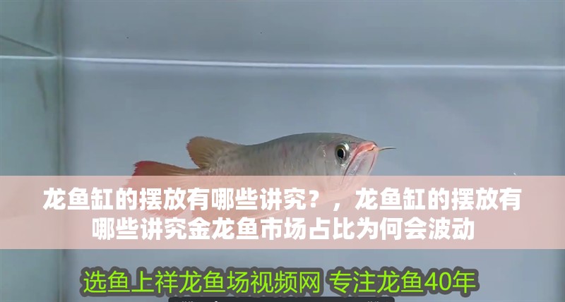 龍魚缸的擺放有哪些講究？，龍魚缸的擺放有哪些講究金龍魚市場占比為何會波動