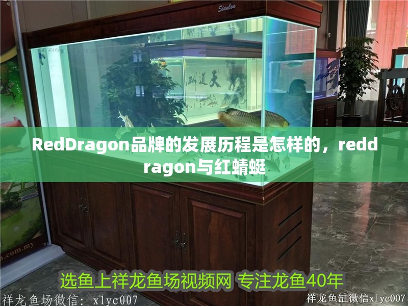 RedDragon品牌的發展歷程是怎樣的，reddragon與紅蜻蜓