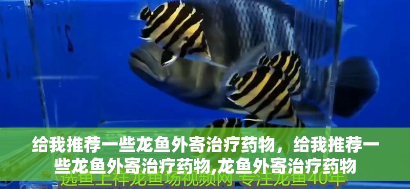 給我推薦一些龍魚外寄治療藥物，給我推薦一些龍魚外寄治療藥物,龍魚外寄治療藥物 給我推薦一些龍魚外寄治療藥物，給我推薦一些龍魚外寄治療藥物,龍魚外寄治療藥物 龍魚百科