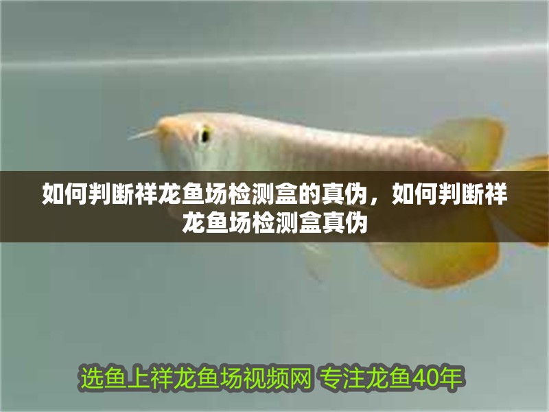 如何判斷祥龍魚場檢測盒的真偽，如何判斷祥龍魚場檢測盒真偽