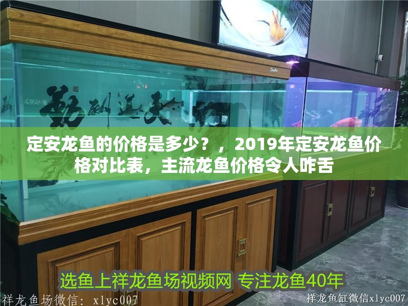 定安龍魚的價格是多少？，2019年定安龍魚價格對比表，主流龍魚價格令人咋舌 定安龍魚的價格是多少？，2019年定安龍魚價格對比表，主流龍魚價格令人咋舌 龍魚百科