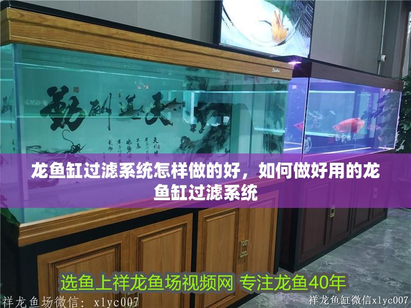 龍魚缸過濾系統怎樣做的好，如何做好用的龍魚缸過濾系統