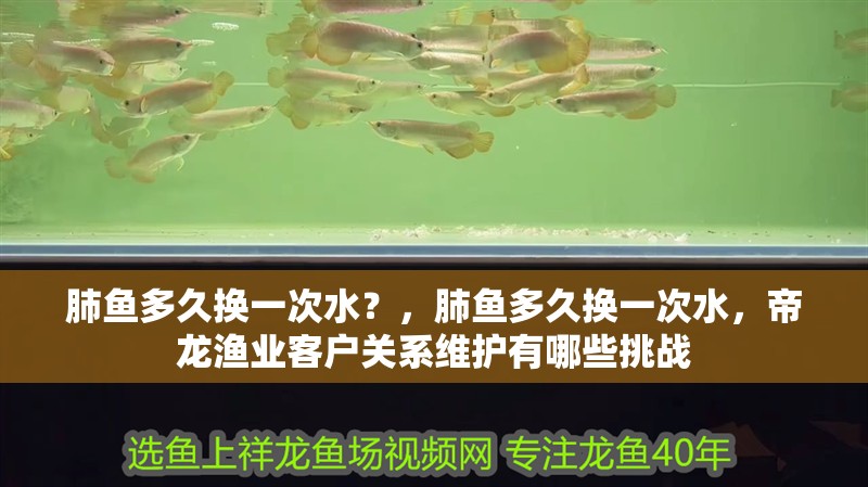 肺魚多久換一次水？，肺魚多久換一次水，帝龍漁業客戶關系維護有哪些挑戰