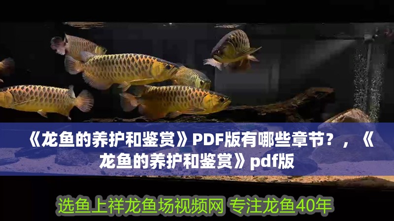 《龍魚的養護和鑒賞》PDF版有哪些章節？，《龍魚的養護和鑒賞》pdf版
