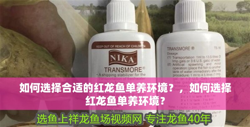 魚缸過濾器選購指南:自制魚缸過濾器魚缸上置過濾器對于養魚愛好者的必備知識 如何選擇合適的紅龍魚單養環境?,如何選擇紅龍魚單養環境? 龍魚百科 如何選擇合適的紅龍魚單養環境?,如何選擇紅龍魚單養環境? 如何選擇合適的紅龍魚單養環境?,如何選擇紅龍魚單養環境? 龍魚百科