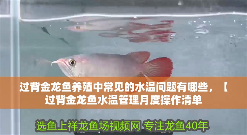 過背金龍魚養殖中常見的水溫問題有哪些，【過背金龍魚水溫管理月度操作清單 過背金龍魚養殖中常見的水溫問題有哪些，【過背金龍魚水溫管理月度操作清單 龍魚百科