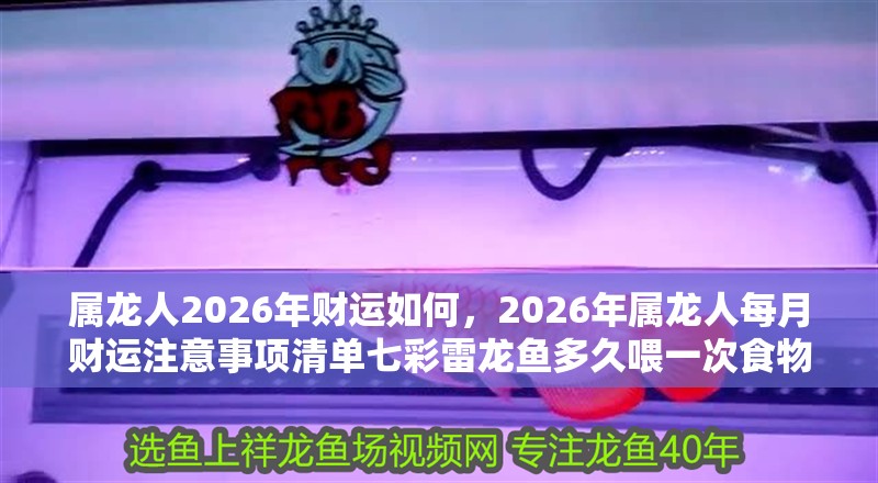 魚缸用增氧泵價格是多少:魚缸增氧機-xtrac增氧機-xtrac增氧機 屬龍人2026年財運如何,2026年屬龍人每月財運注意事項清單七彩雷龍魚多久喂一次食物 龍魚百科 屬龍人2026年財運如何,2026年屬龍人每月財運注意事項清單七彩雷龍魚多久喂一次食物 屬龍人2026年財運如何,2026年屬龍人每月財運注意事項清單七彩雷龍魚多久喂一次食物 龍魚百科