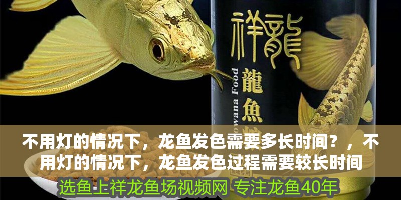 不用燈的情況下，龍魚發色需要多長時間？，不用燈的情況下，龍魚發色過程需要較長時間