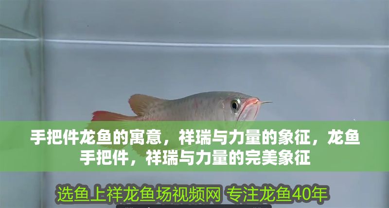 手把件龍魚的寓意，祥瑞與力量的象征，龍魚手把件，祥瑞與力量的完美象征