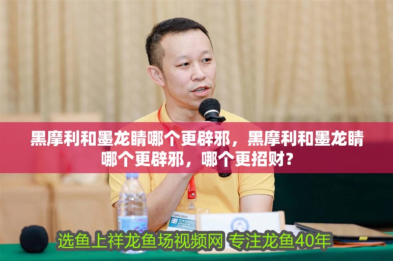 魚缸過濾器選購指南:自制魚缸過濾器魚缸上置過濾器對于養魚愛好者的必備知識 黑摩利和墨龍睛哪個更辟邪,黑摩利和墨龍睛哪個更辟邪,哪個更招財? 龍魚百科 黑摩利和墨龍睛哪個更辟邪,黑摩利和墨龍睛哪個更辟邪,哪個更招財? 黑摩利和墨龍睛哪個更辟邪,黑摩利和墨龍睛哪個更辟邪,哪個更招財? 龍魚百科