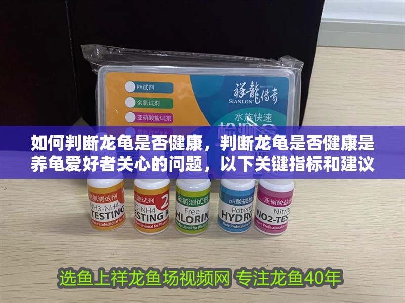 如何判斷龍龜是否健康，判斷龍龜是否健康是養龜愛好者關心的問題，以下關鍵指標和建議 如何判斷龍龜是否健康，判斷龍龜是否健康是養龜愛好者關心的問題，以下關鍵指標和建議 龍魚百科