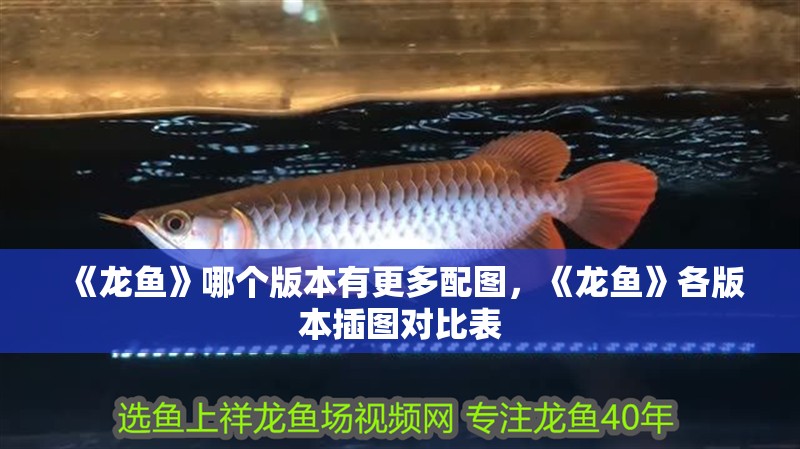《龍魚》哪個版本有更多配圖，《龍魚》各版本插圖對比表