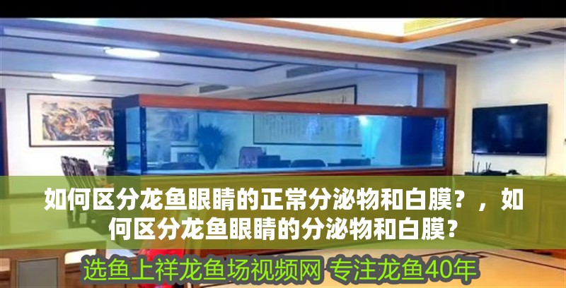 如何區分龍魚眼睛的正常分泌物和白膜？，如何區分龍魚眼睛的分泌物和白膜？ 如何區分龍魚眼睛的正常分泌物和白膜？，如何區分龍魚眼睛的分泌物和白膜？ 龍魚百科