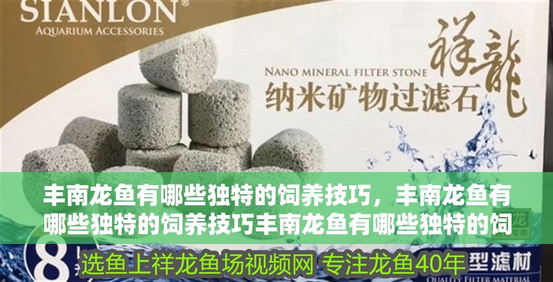 魚缸用增氧泵價格是多少:魚缸增氧機-xtrac增氧機-xtrac增氧機 豐南龍魚有哪些獨特的飼養(yǎng)技巧,豐南龍魚有哪些獨特的飼養(yǎng)技巧豐南龍魚有哪些獨特的飼養(yǎng)技巧 龍魚百科 豐南龍魚有哪些獨特的飼養(yǎng)技巧,豐南龍魚有哪些獨特的飼養(yǎng)技巧豐南龍魚有哪些獨特的飼養(yǎng)技巧 豐南龍魚有哪些獨特的飼養(yǎng)技巧,豐南龍魚有哪些獨特的飼養(yǎng)技巧豐南龍魚有哪些獨特的飼養(yǎng)技巧 龍魚百科