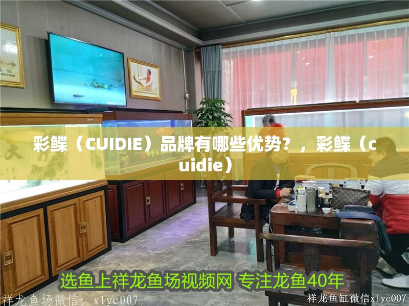 彩鰈（CUIDIE）品牌有哪些優勢？，彩鰈（cuidie） 彩鰈（CUIDIE）品牌有哪些優勢？，彩鰈（cuidie） 龍魚百科
